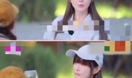 娱乐圈娱乐圈吃瓜PPT,PPT带你领略幕后风云